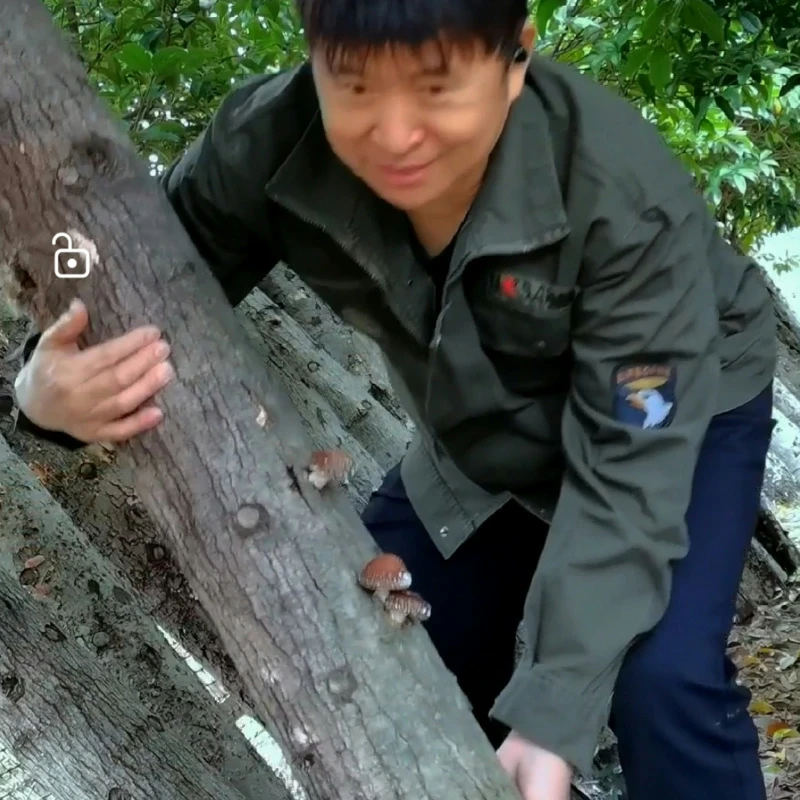 望晓源土特产深山椴木香菇花菇营养优选精选甄选美味生长