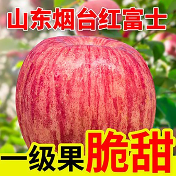 正宗山东烟台红富士苹果冰糖心奶油脆甜新鲜应季水果脆甜多汁大果
