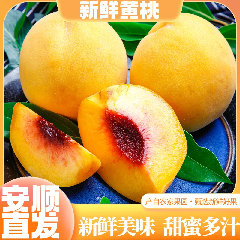 贵州安顺新鲜美味锦绣黄桃甜蜜园现摘现发