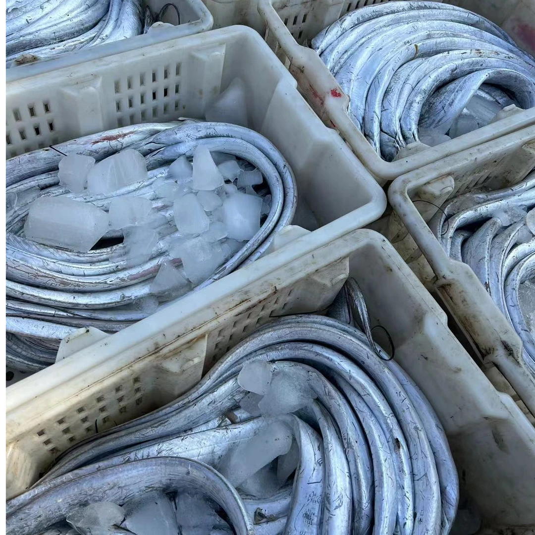 大连当地渤海湾刀鱼，野生带鱼，，冷冻发货介意勿拍，顺丰包邮