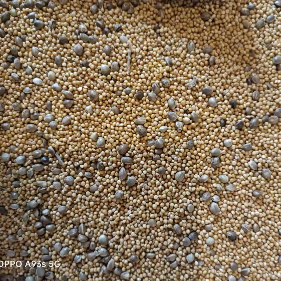 牡丹鹦鹉/玄凤鹦鹉/和尚/小太阳精品混合粮