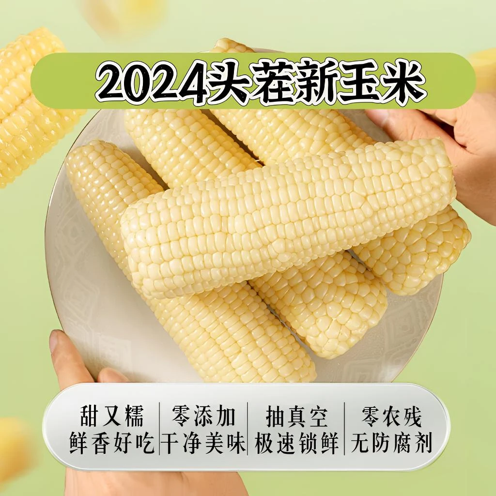 2024新玉米 12支 东北白糯玉米 黏苞米 甜加糯口感 黏苞米