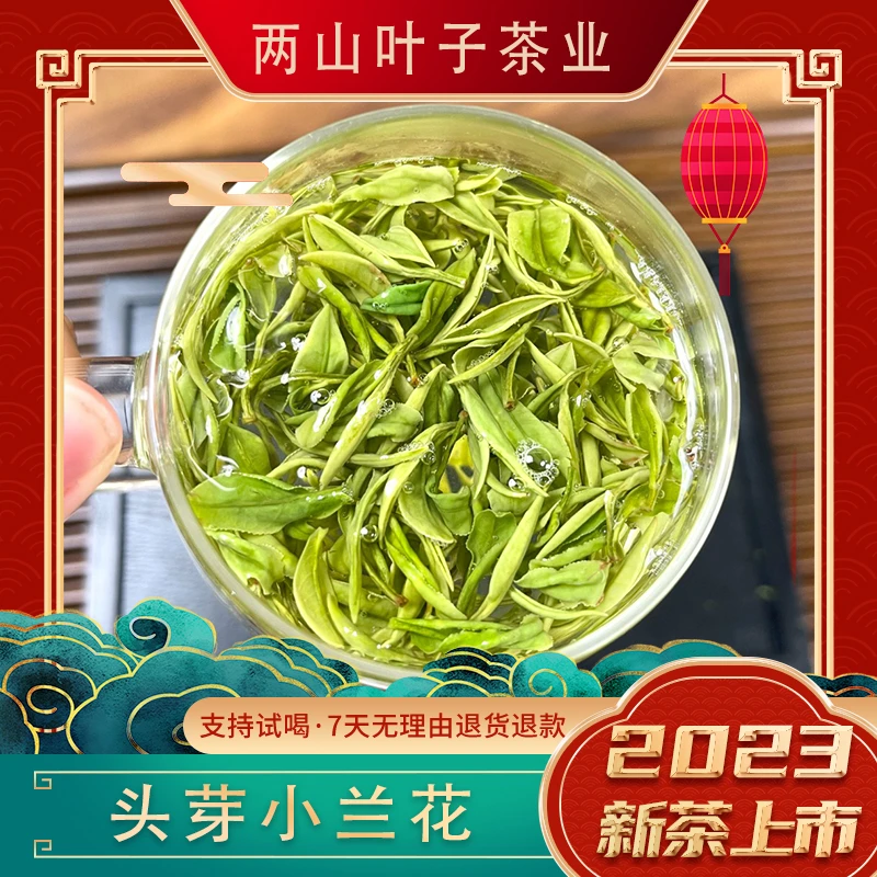 两山叶子【头芽小兰花】安吉白茶福利活动宠粉送人经典兰香