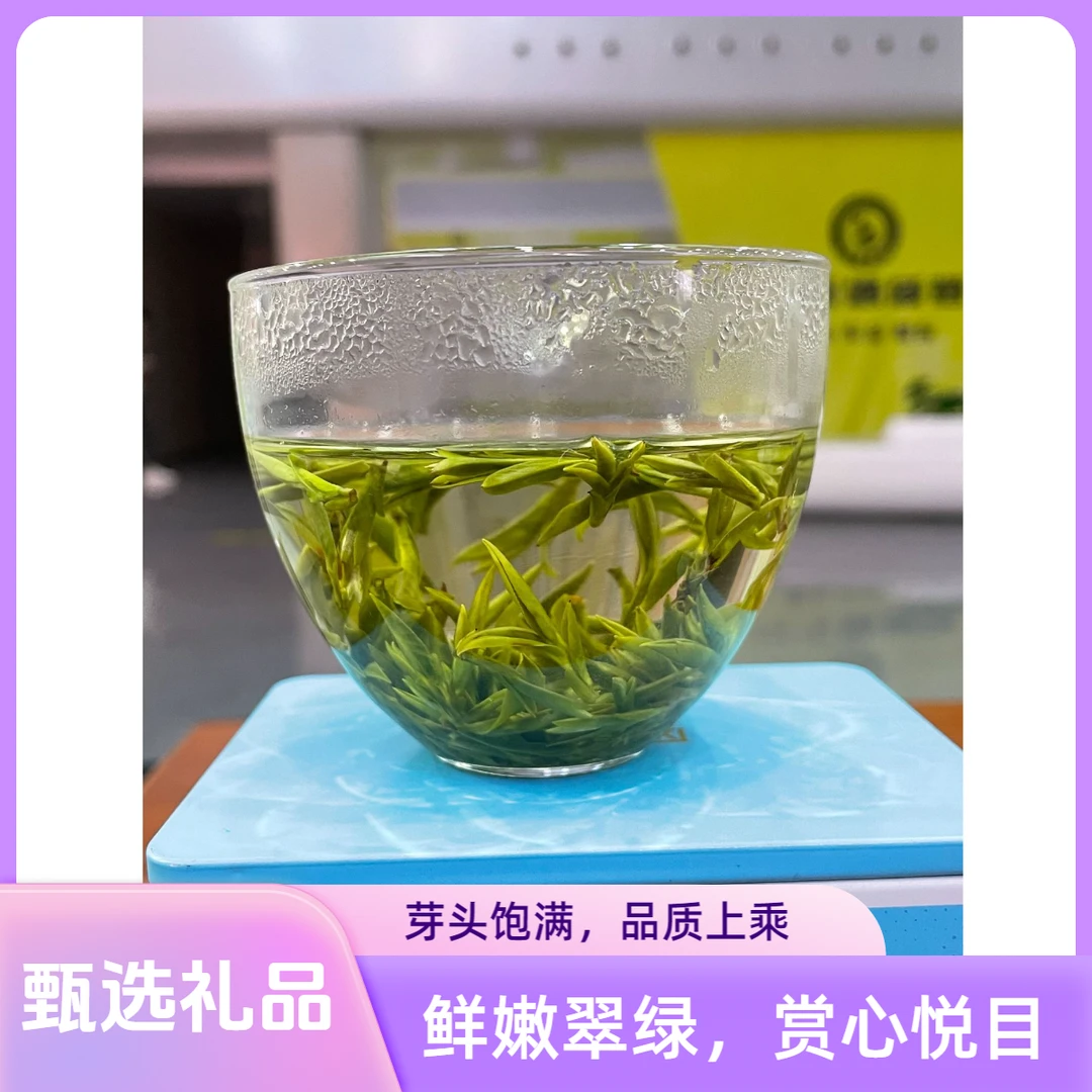 2024新茶沐川黄芽头采