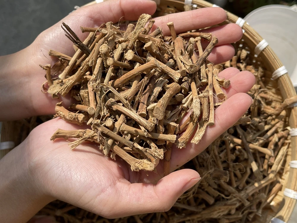 春砂仁根广东阳春特产新鲜晒干煲汤食材干货100克起包邮