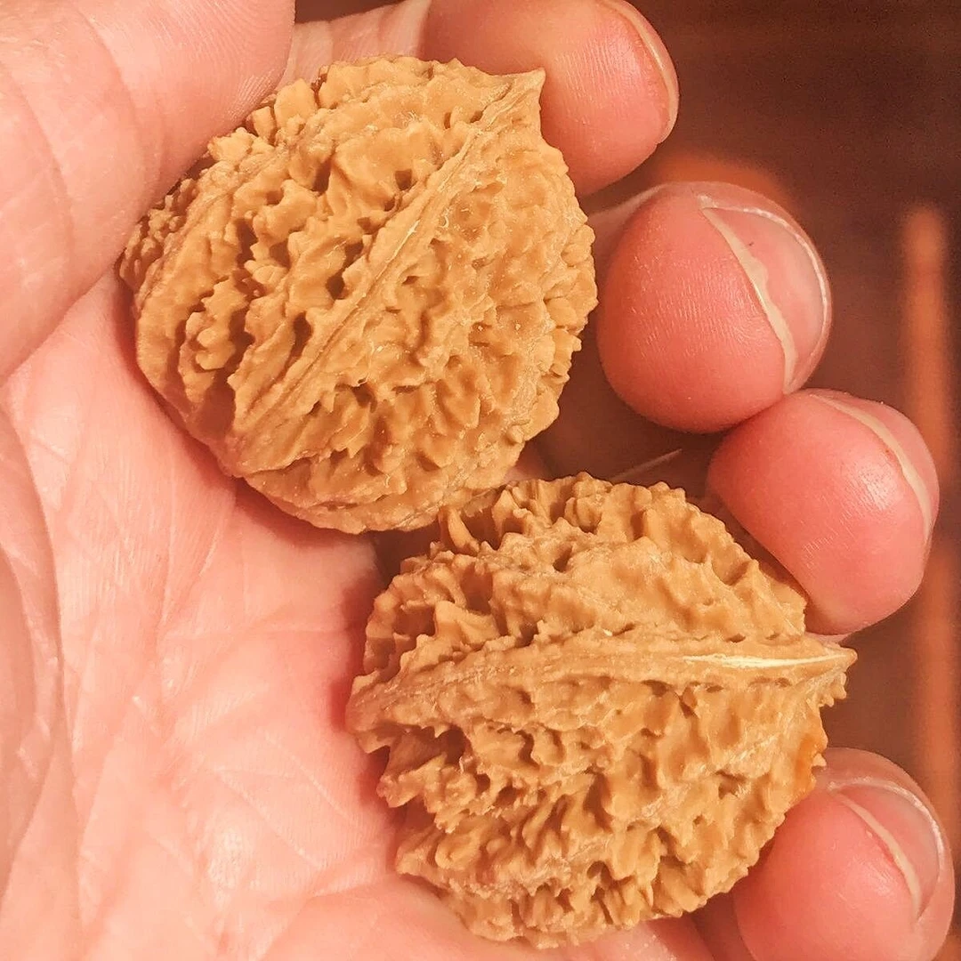 山核桃刺纹小手捻精选老树文玩手把件麻纹理扎手深京八棱老人送礼