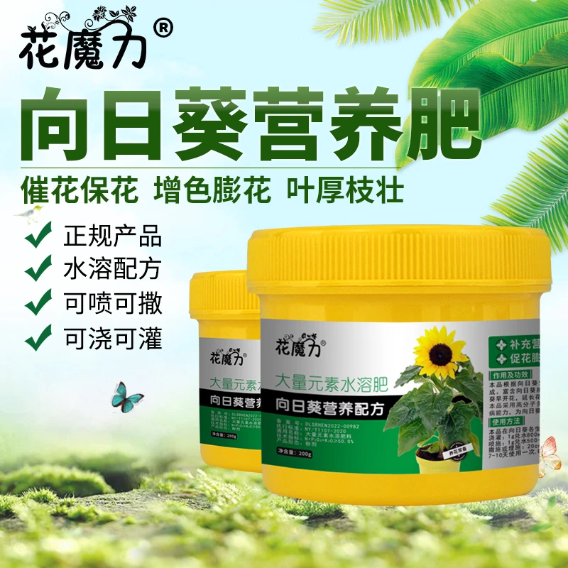 矮生矮化向日葵专用营养肥盆栽院栽阳台催花保花增色四季葵花通用