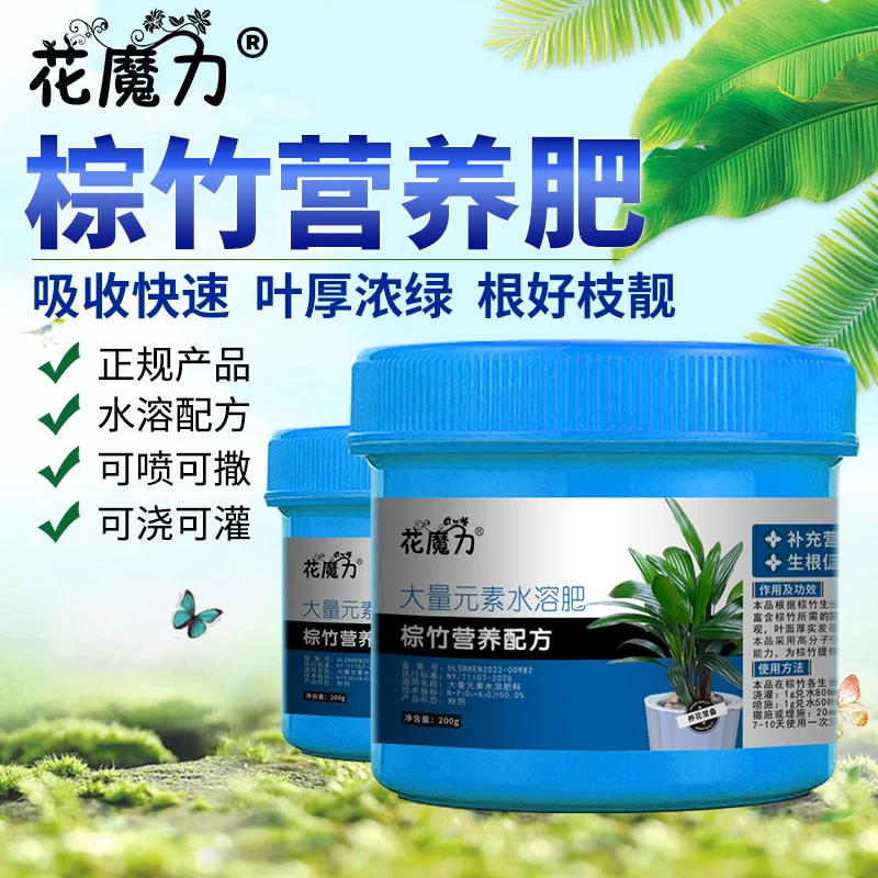 棕竹专用营养肥观音竹金山棕筋头竹盆景水培室内观叶地栽四季养护