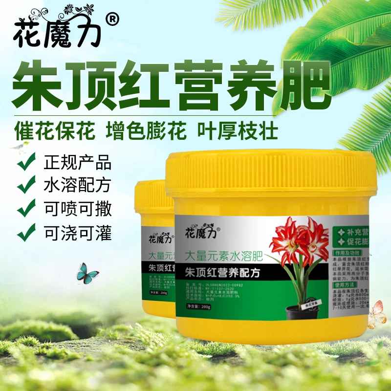 朱顶红专用营养肥盆栽院栽阳台催花保花增色对红华胃兰红花莲肥料