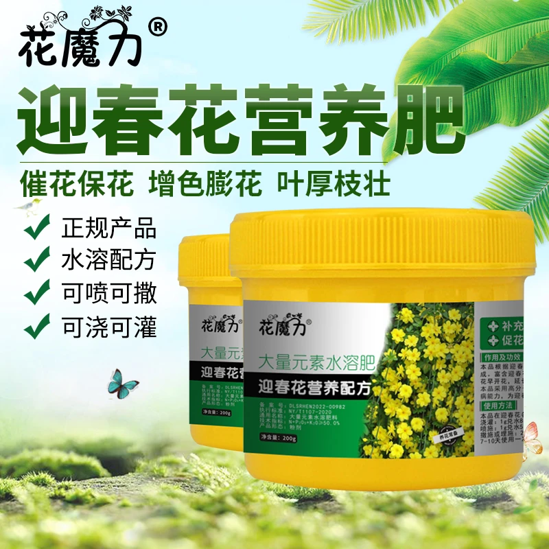 迎春花专用营养肥盆栽院栽阳台催花保花吊小黄花金腰带黄梅清明花