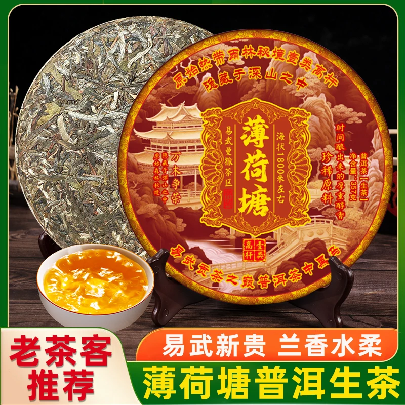 云南普洱茶生茶易武薄荷塘头春饼茶生普茶叶拍7给3颗龙珠