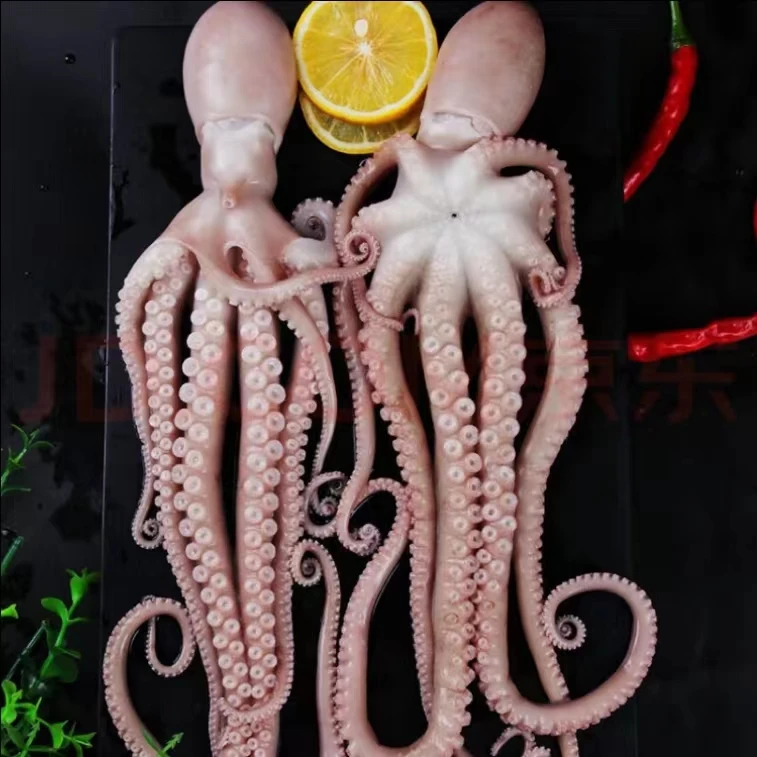 鲜活急冻-无冰衣不缩水净含量（长腿大章鱼八爪鱼） 2斤-6斤净含量