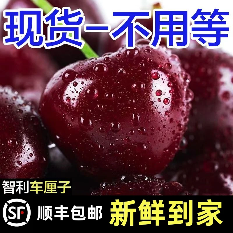 【粉丝专属3】智利进口车厘子2-5斤1-4J孕妇新鲜脆甜多汁售后无忧