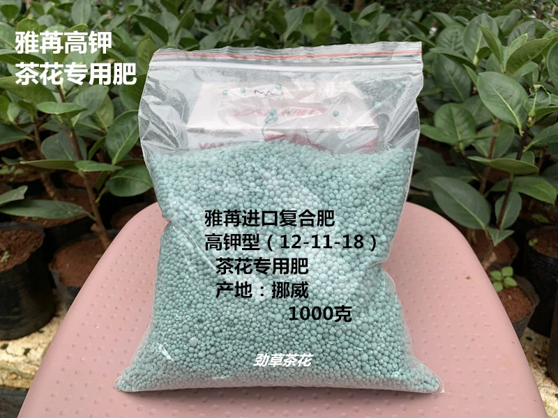 云南茶花专用肥   家庭花卉肥