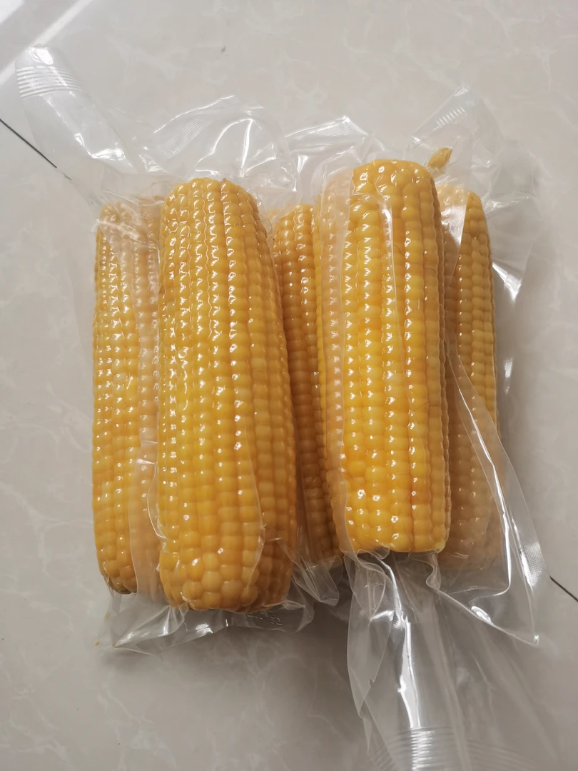 东北特产甜糯黄玉米