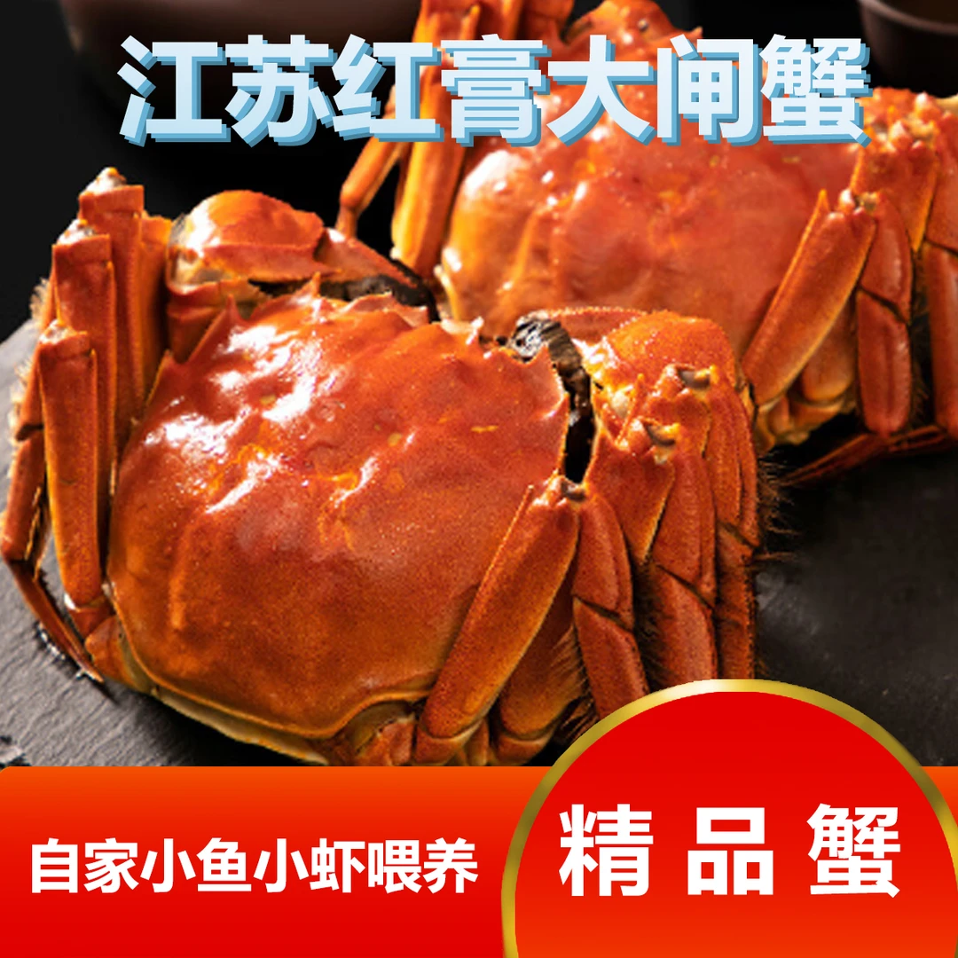 【活蟹】江苏精品大闸蟹 16只8对 公3.3-3.0两8只+母2.3-2.0两8只