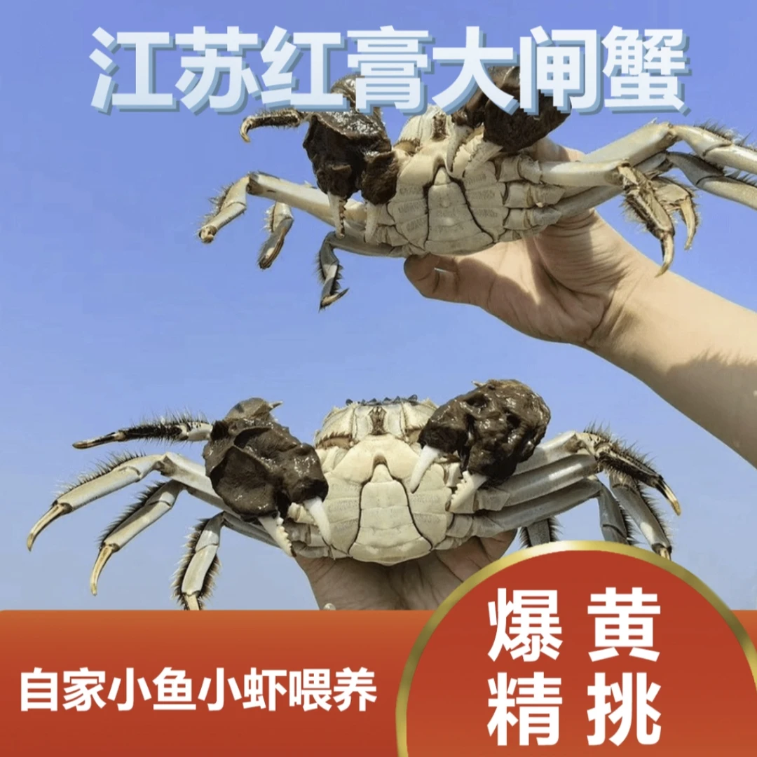 福【活蟹】江苏精品大闸蟹16只 （公3.2-2.9两8只）（母2.2-1.9两8只）