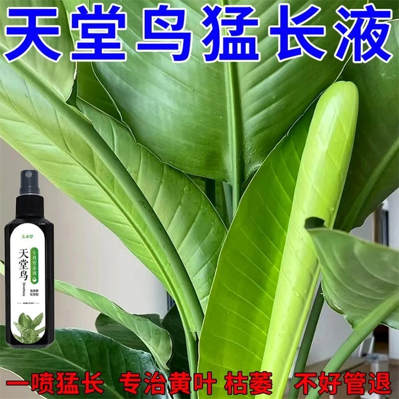 【拯救】天堂鸟营养液适用防黄叶卷边枯萎烂根倒伏植物生长通用配方