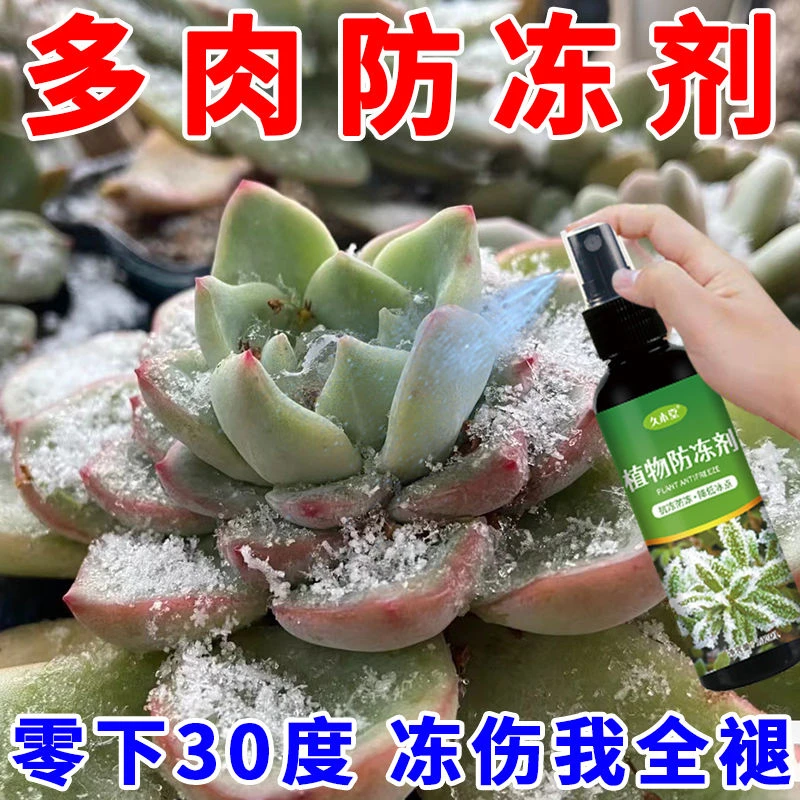 多肉植物防冻液抗冻剂果树蔬菜苗木防寒绿萝兰花室外安全过冬防冻