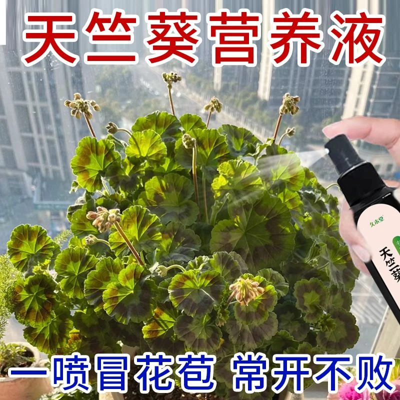 【一喷冒花苞】天竺葵营养液催花促花苞防黄叶烂根盆栽植物专用肥