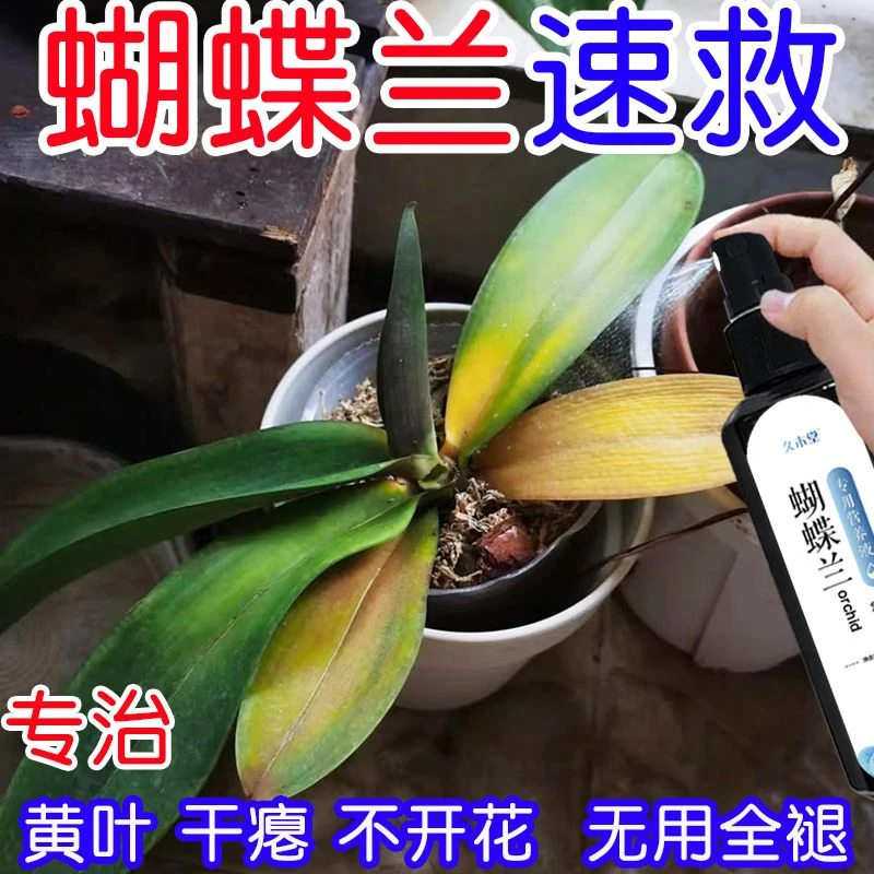 急救】蝴蝶兰专用营养液肥料促开花促箭剂催花专用防黄叶烂根干瘪