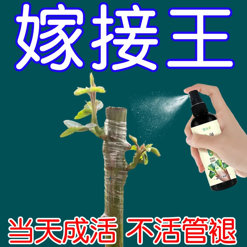 【嫁接王】植物嫁接促活液伤口愈合剂盆景月季果树植物嫁接万能型
