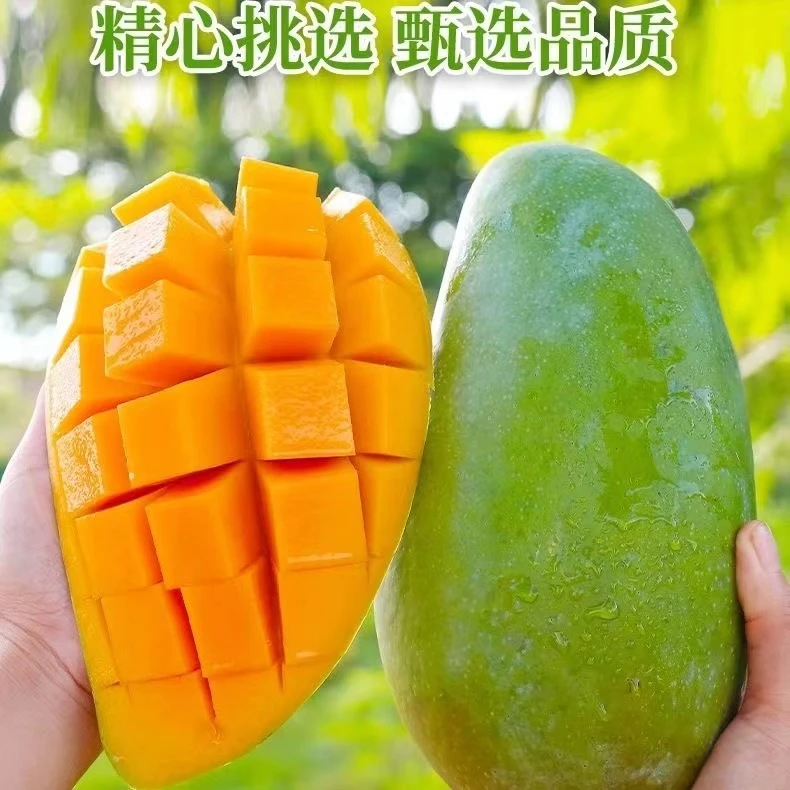 攀枝花金煌芒新鲜采摘香甜营养丰富核小肉厚饱满成熟夏日多汁果香