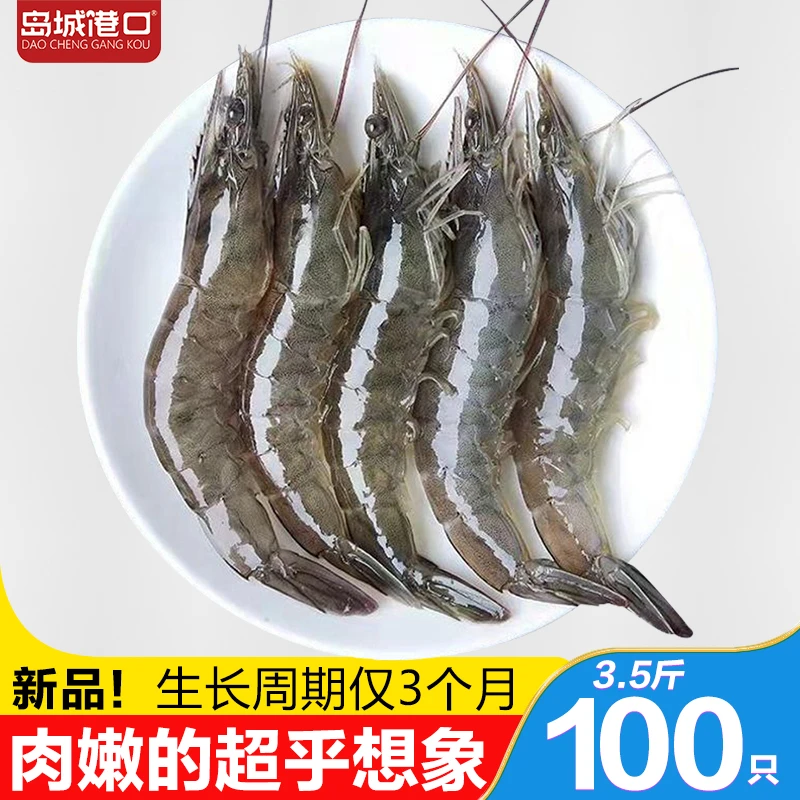 [三月新虾] 生长周期仅3个月净重3.5斤到手100只鲜嫩青岛海虾对虾