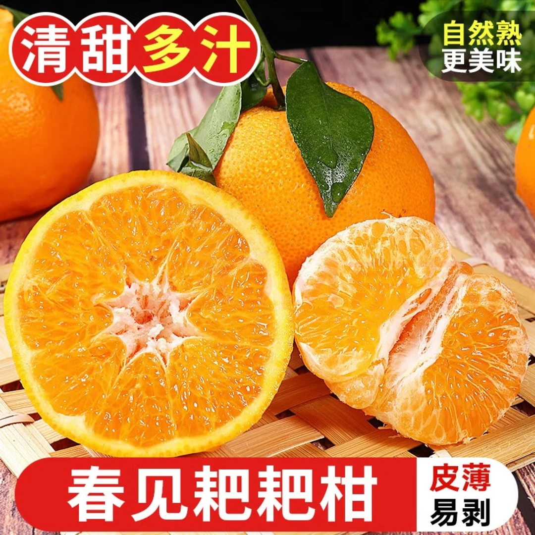 四川春见耙耙柑柑橘现摘现发香甜爆汁爽口细腻新鲜采摘