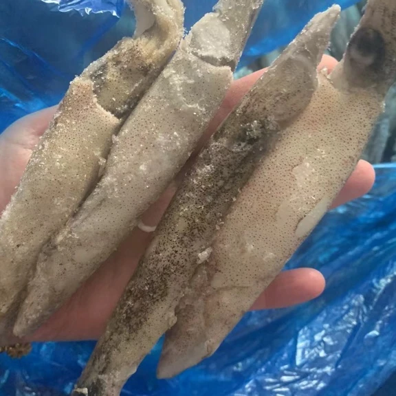 野生海捕全籽墨斗鱼