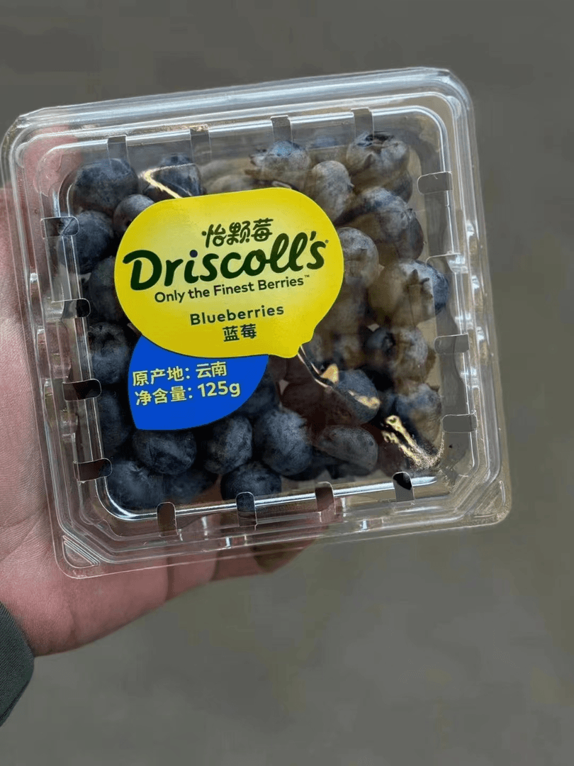 driscoll's/怡颗莓 /蓝莓2盒装（约125g/盒）