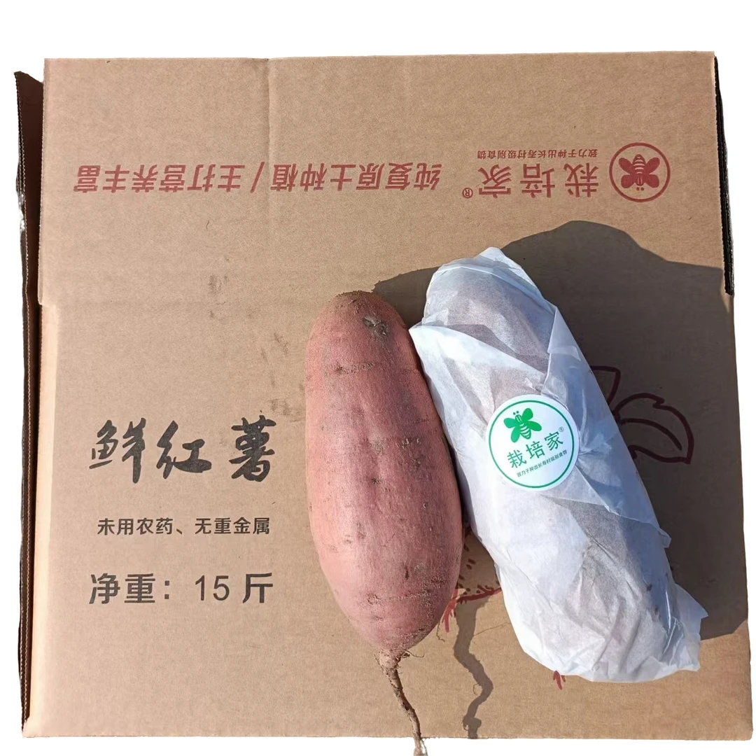 山东25号烟薯/营养复原种植/纯复原土种植/有机之上的探索/原生态