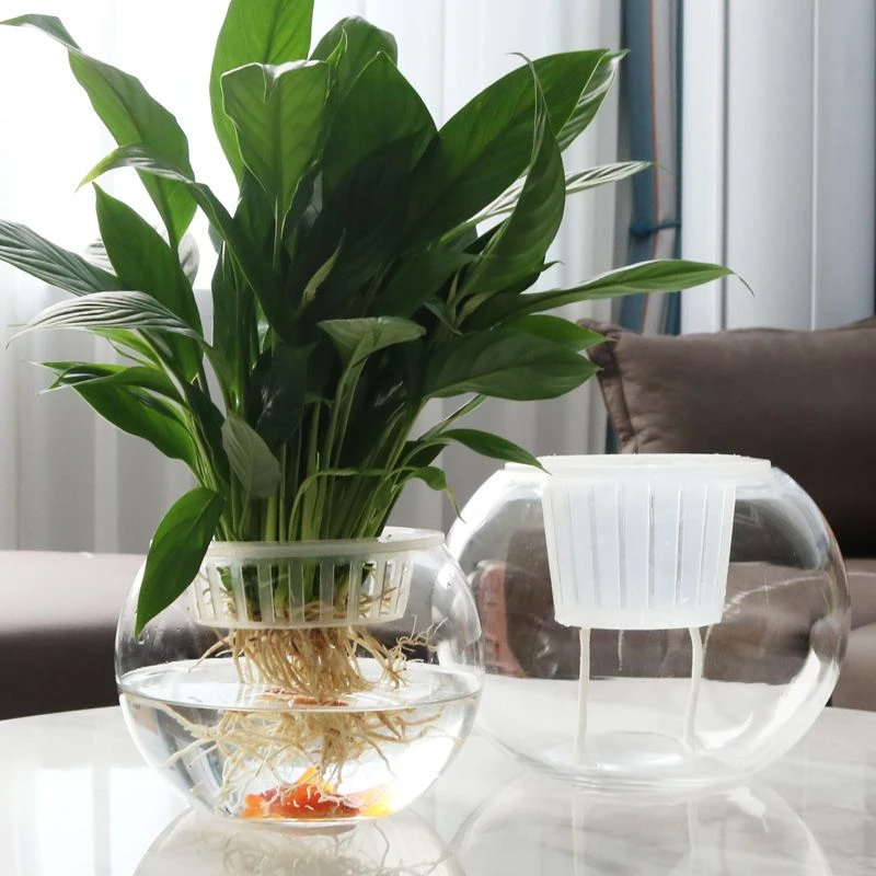 水培玻璃缸不含绿植（包邮包配送）只发西藏地区