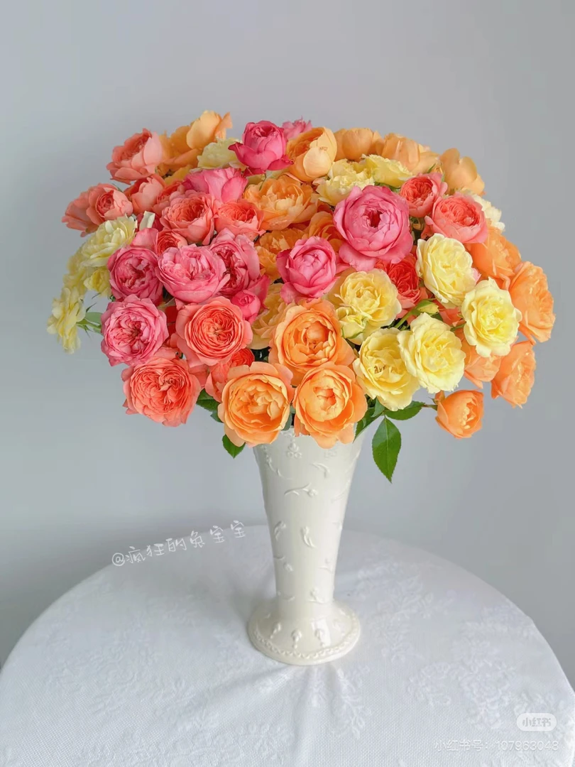 【花甜悦夏优选】混色果汁多头玫瑰（百分之十不售后2个订单包邮