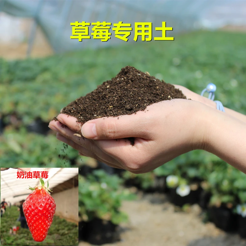 有机草莓土通用型营养土养花种菜疏松透气育苗基质土草炭自家配方