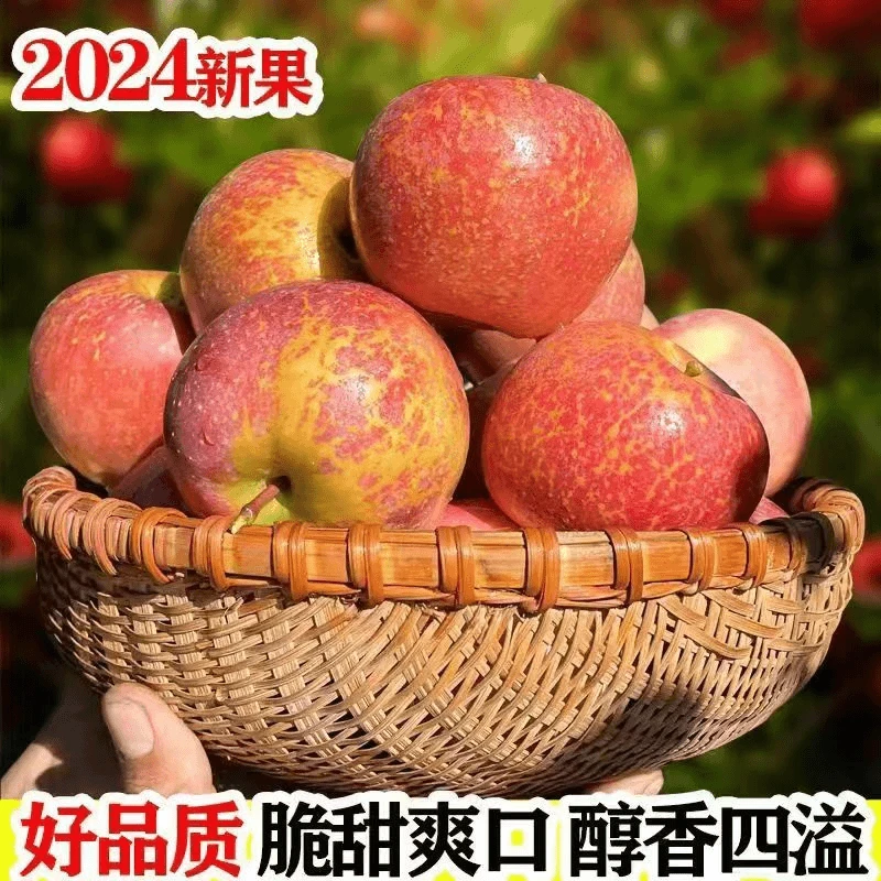 【云南昭通新鲜丑苹果】现摘脆甜高原水果2/5斤整箱场地直发包邮