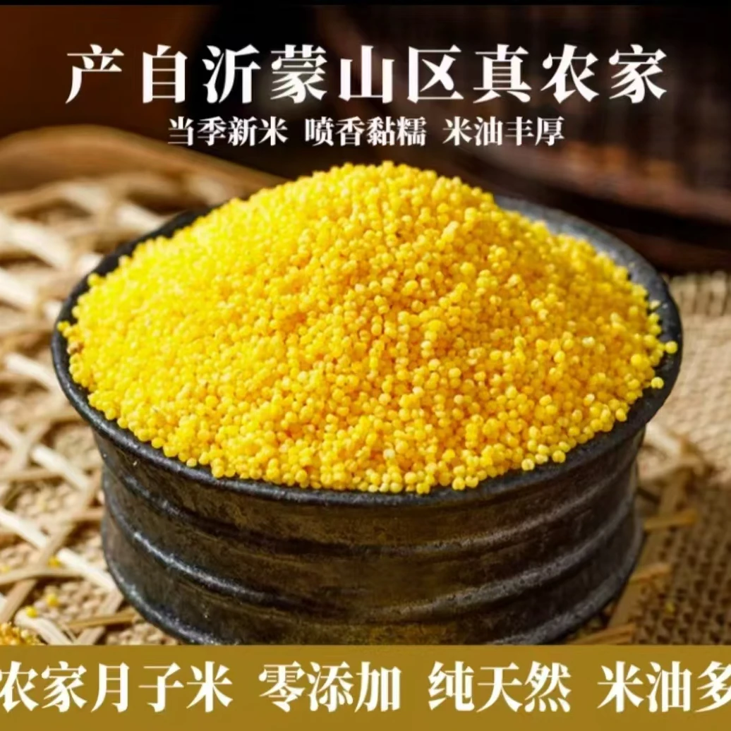 山里宝沂蒙山山地黄小米 农家自种月子米 米油丰厚 熬米粘稠