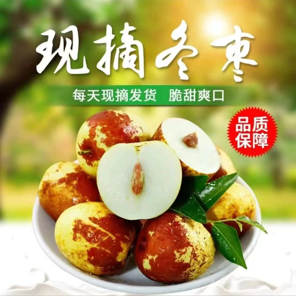 【木易专属】陕西大荔冬枣现摘现发脆甜多汁2-5斤装酥脆爽口