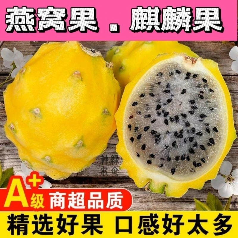 产地直发树熟新鲜中华燕窝果当季新鲜孕妇高端超甜水果麒麟果