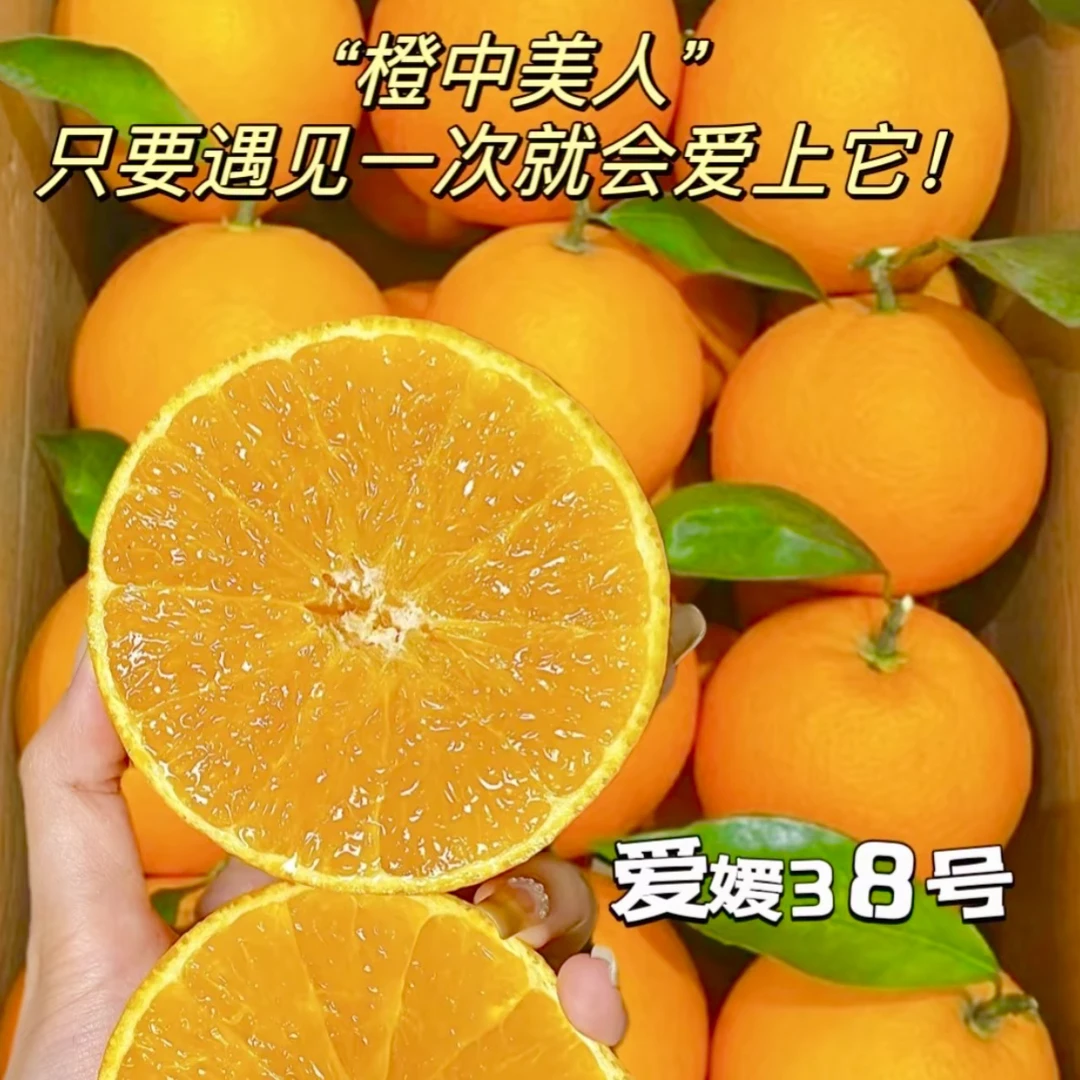 爱媛果冻橙  【一物一拍】漳州小时达