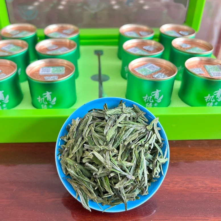 有机绿茶金刚碧绿2024新茶商城高山野茶信阳毛尖