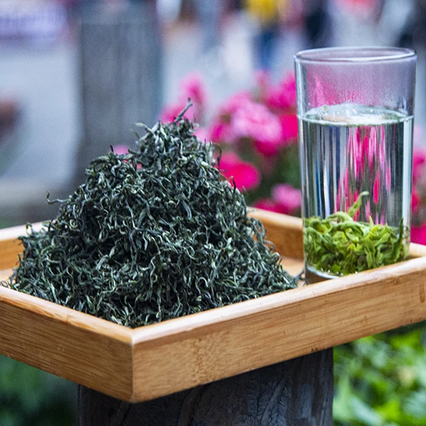 【黄金茶】2025年湘西黄金茶办公用茶