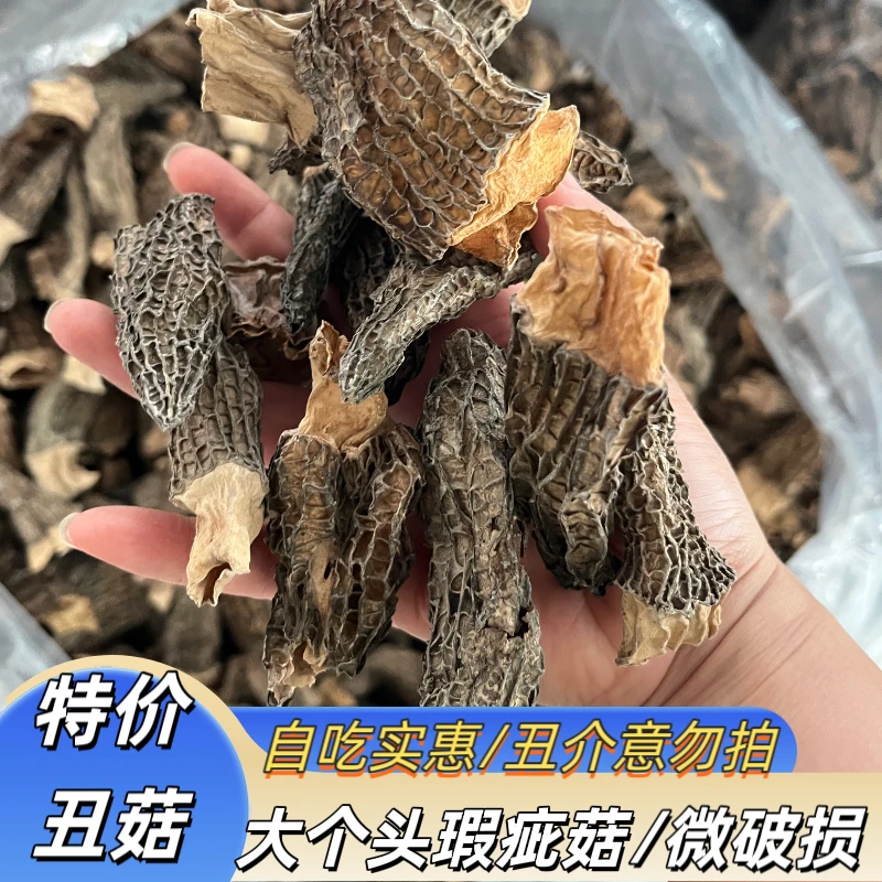 瑕疵丑菇羊肚菌干货不挑选4-8公分性价比高250克（微破损介意勿拍）