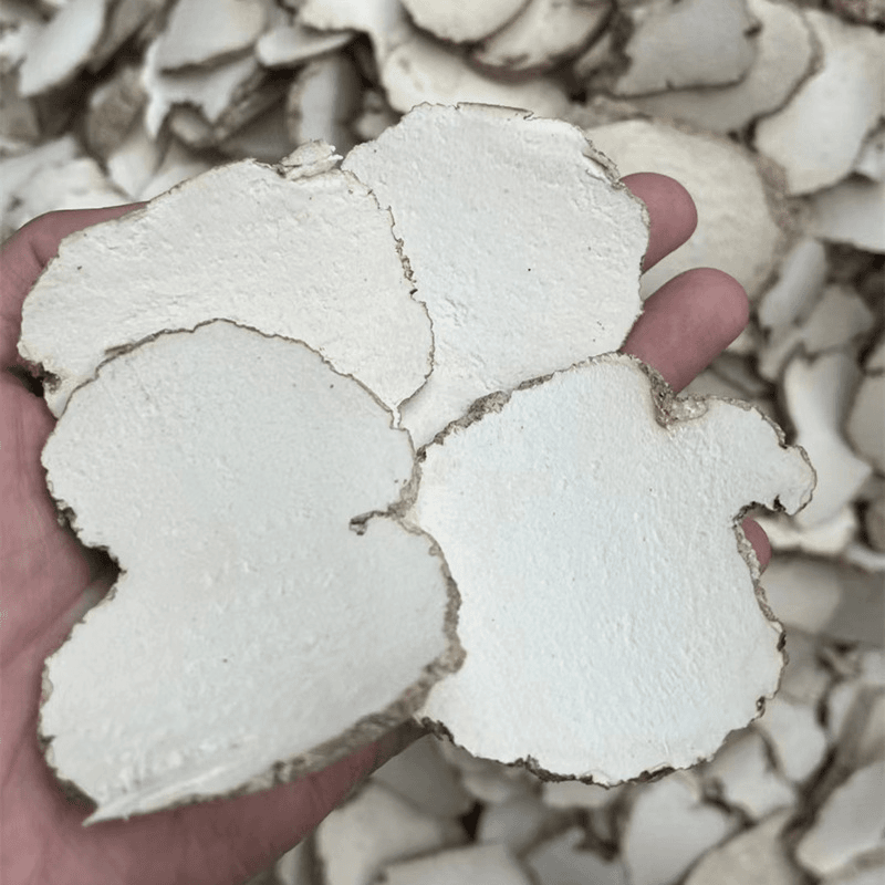 山海汇 广东 虎乳菌 花胶干货1-500g
