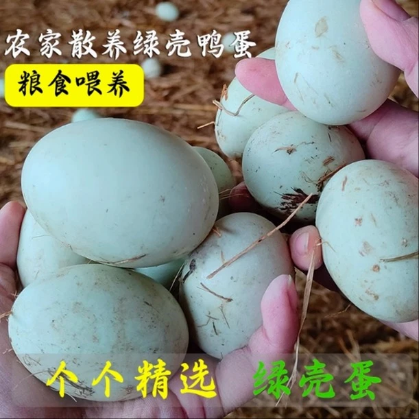 现捡现发新鲜大个鸭蛋50枚10枚正宗农村自家散养土鸭绿皮鸭蛋青皮