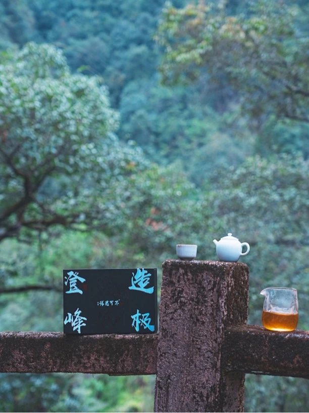 不可思议登峰造极桐木肉桂武夷岩茶一盒6泡共54克高端乌龙茶礼盒
