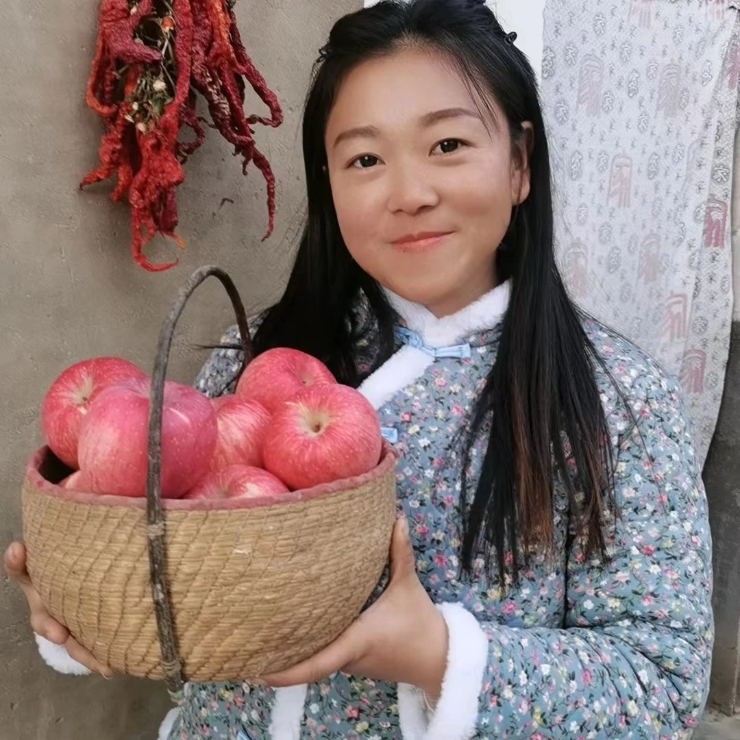 『静茹家』洛川苹果正宗脆甜多汁产地直发（家庭装）红富士苹果