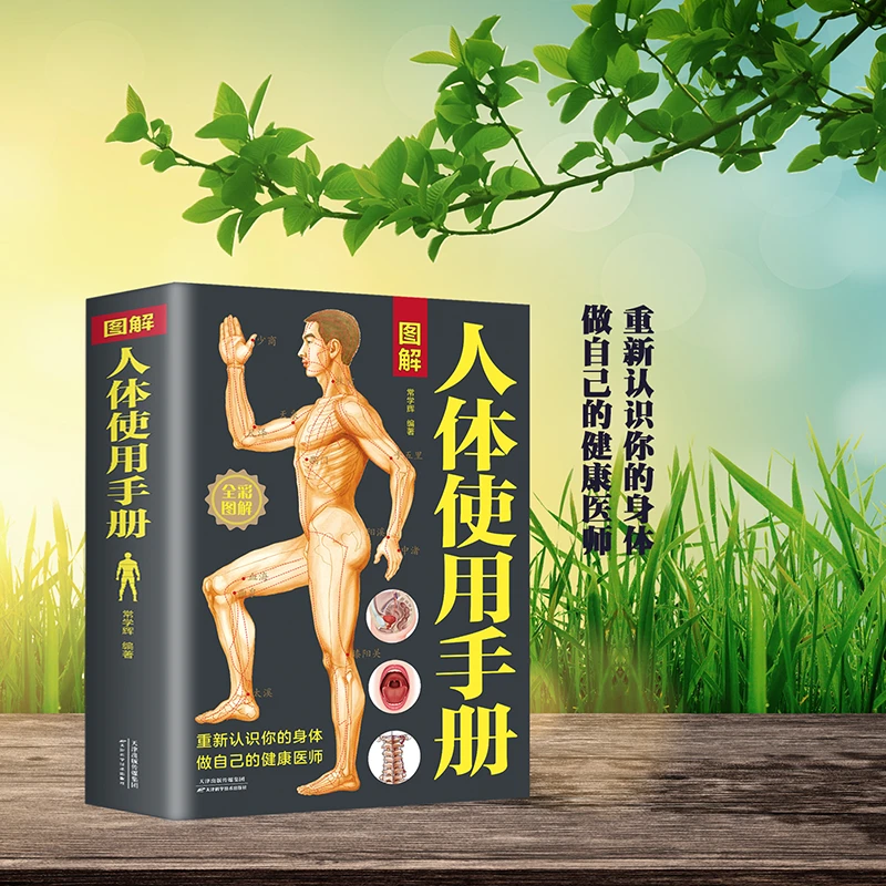 图解人体使用手册 全彩图解典藏版 基础医学生活中医养生经络穴位