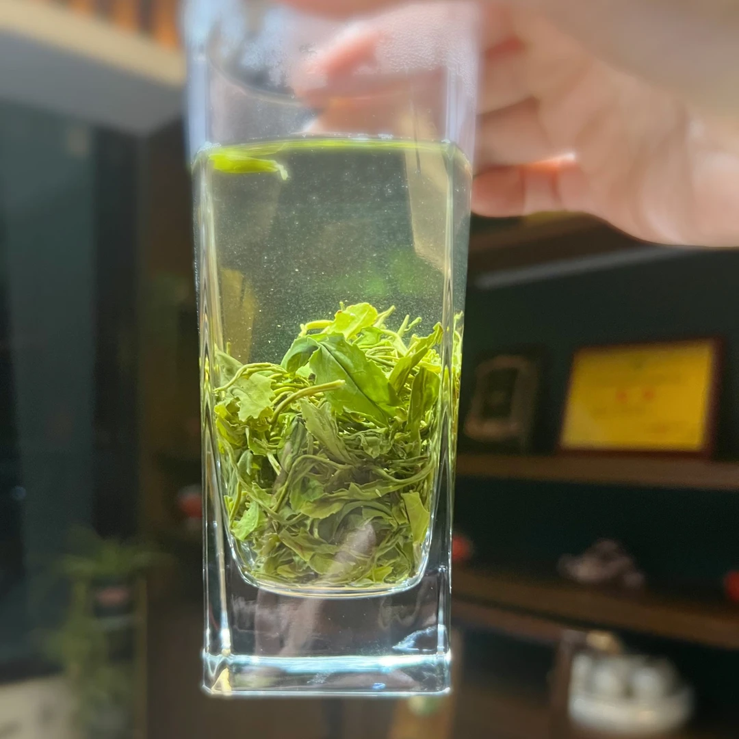 2024明前纯手工采香春茶碧螺春100g/200g/500/