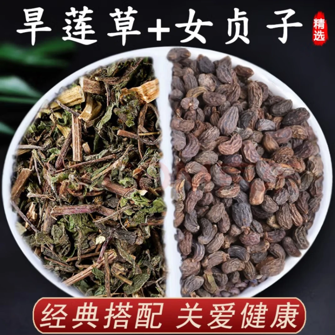 女贞子旱莲草组合秦岭野生女贞子墨旱莲搭配组合和一瓶